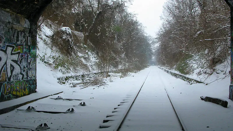 Tranchée de la Petite Ceinture entre les portes d'Orléans et de Vanves (14e arrondissement) - vue vers l'Ouest.