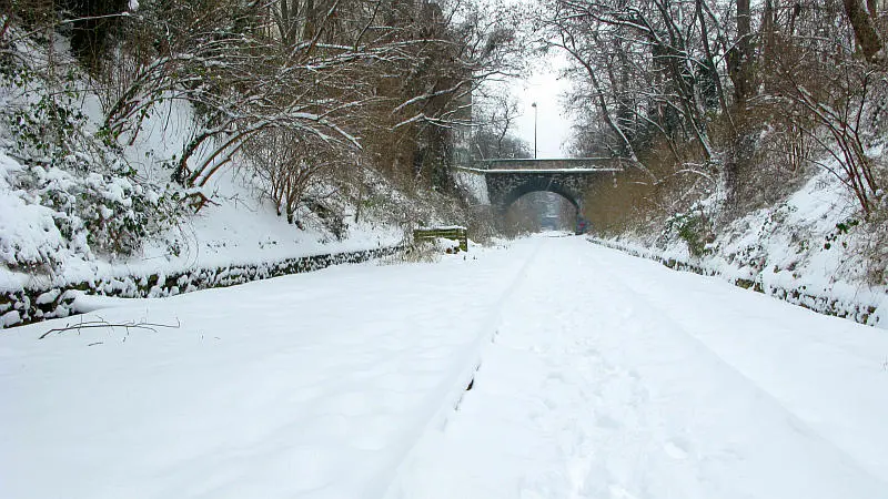 Tranchée de la Petite Ceinture entre les portes d'Orléans et de Vanves (14e arrondissement) - vue vers l'Ouest.