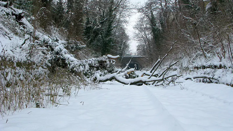 Tranchée de la Petite Ceinture entre les portes d'Orléans et de Vanves (14e arrondissement) - vue vers l'Ouest depuis la rue des Plantes