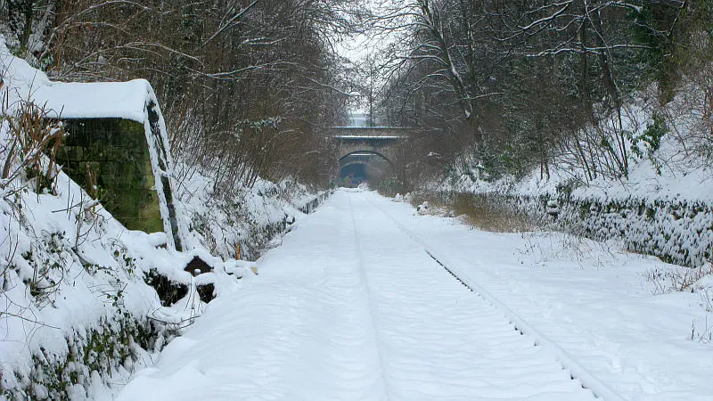 Tranchée de la Petite Ceinture entre les portes d'Orléans et de Vanves (14e arrondissement - vue vers l'Est.