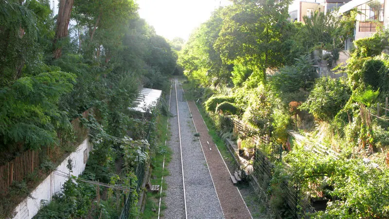 Vue de la tranchée de la Petite Ceinture depuis la rue du Ruisseau